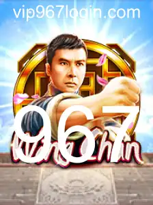 Introdução e Regras do Jogo WingChun